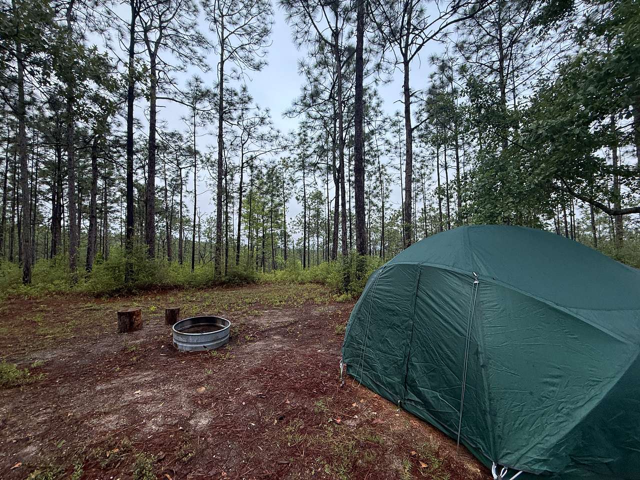 Fire pit, plenty of space, lovely, peaceful grove of trees. 