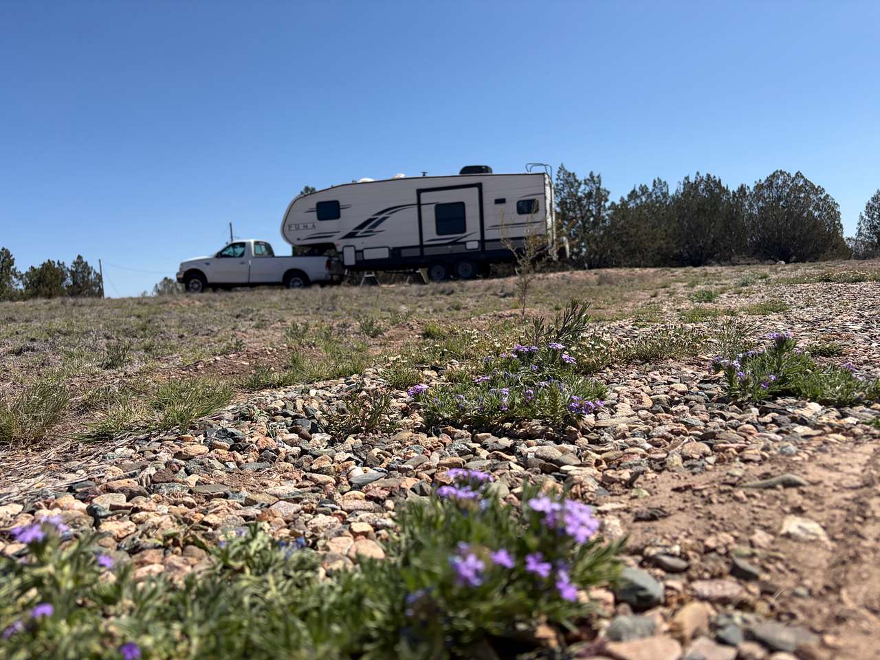 Pinon Forest Camp