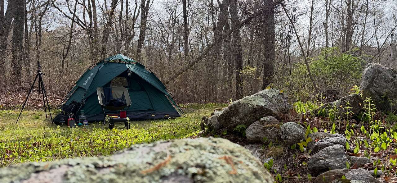 Private 2.2-Acre RV Basecamp on Route 3 | Loaded with Amenities | Centrally Located near I-95
