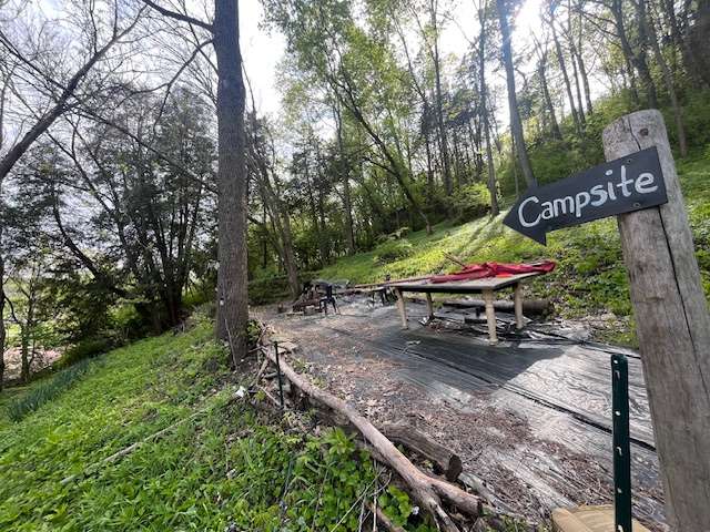 Picture of the site
