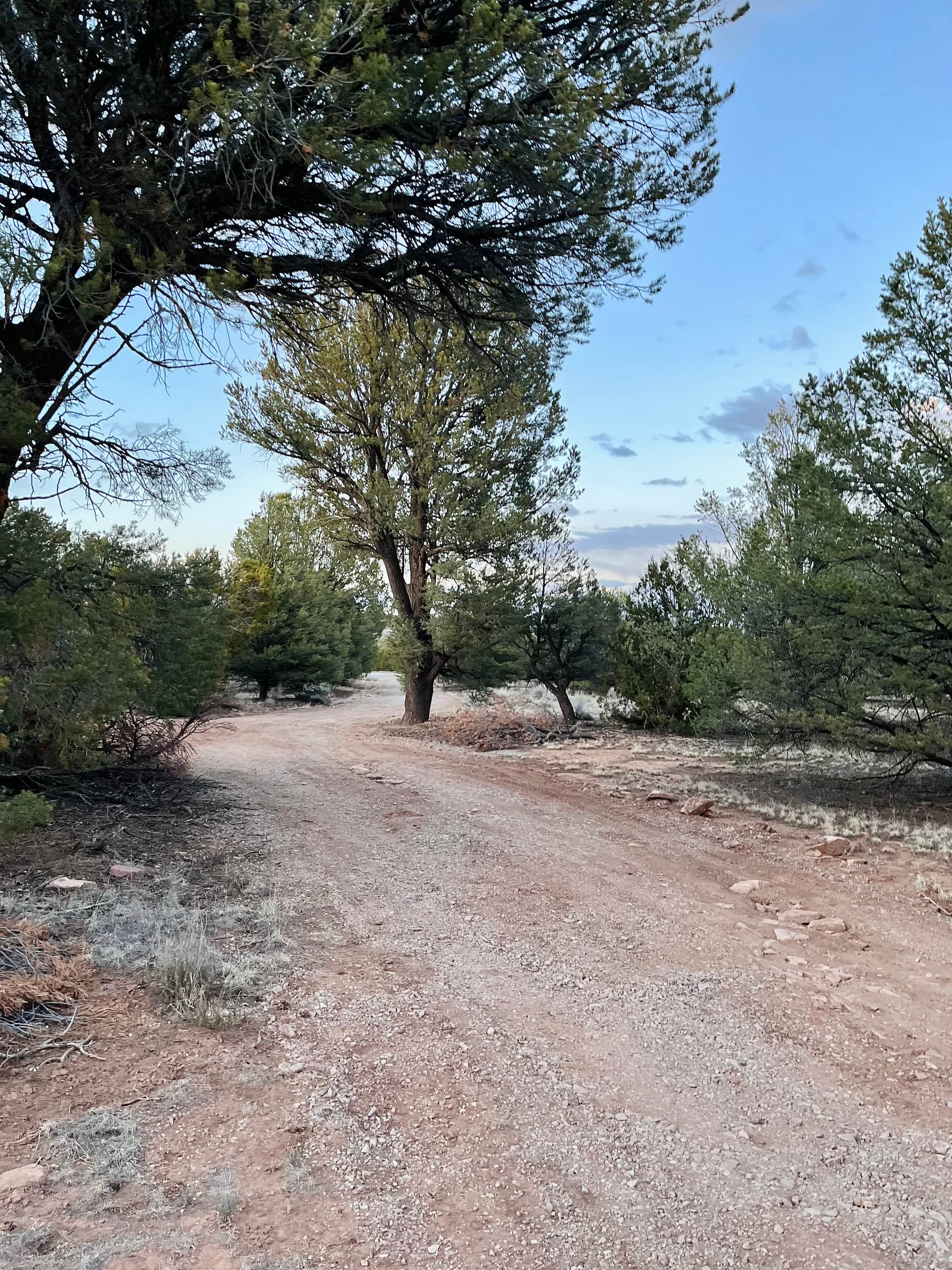 Blue Water Camp And Boondocking