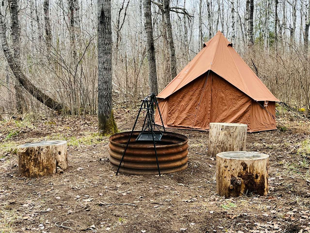 Picture of the site