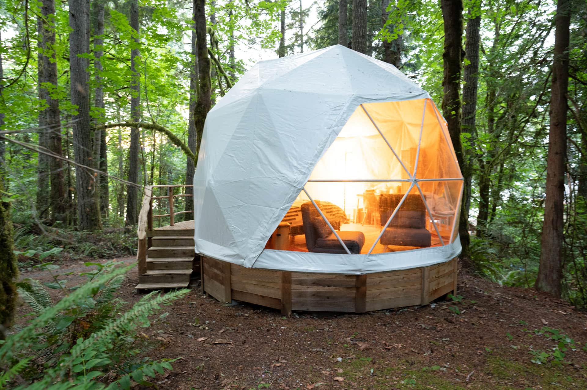 Elevation Hive Forest Retreat