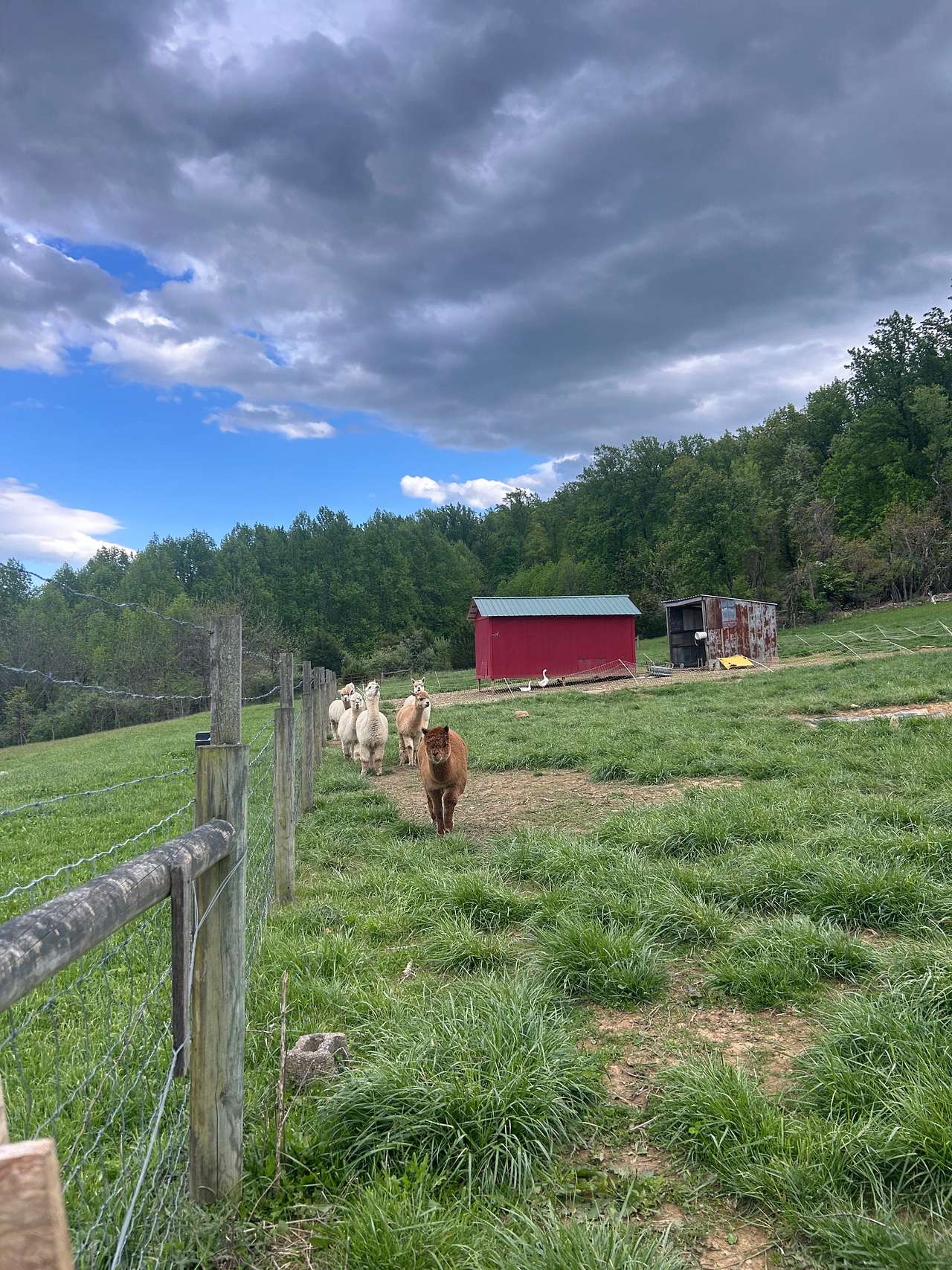 Beespoke Farms