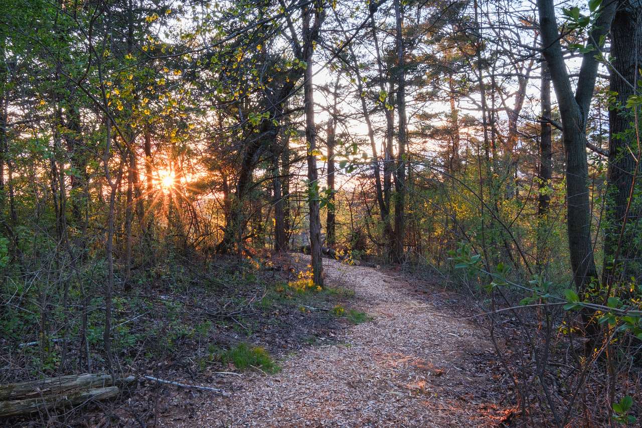 The rock outlook is the perfect spot to catch the sunset! 