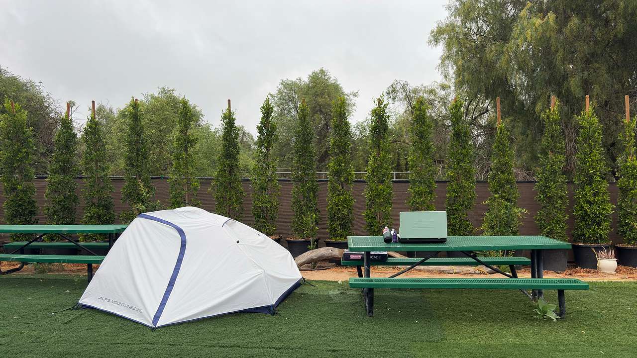 Picture of the site