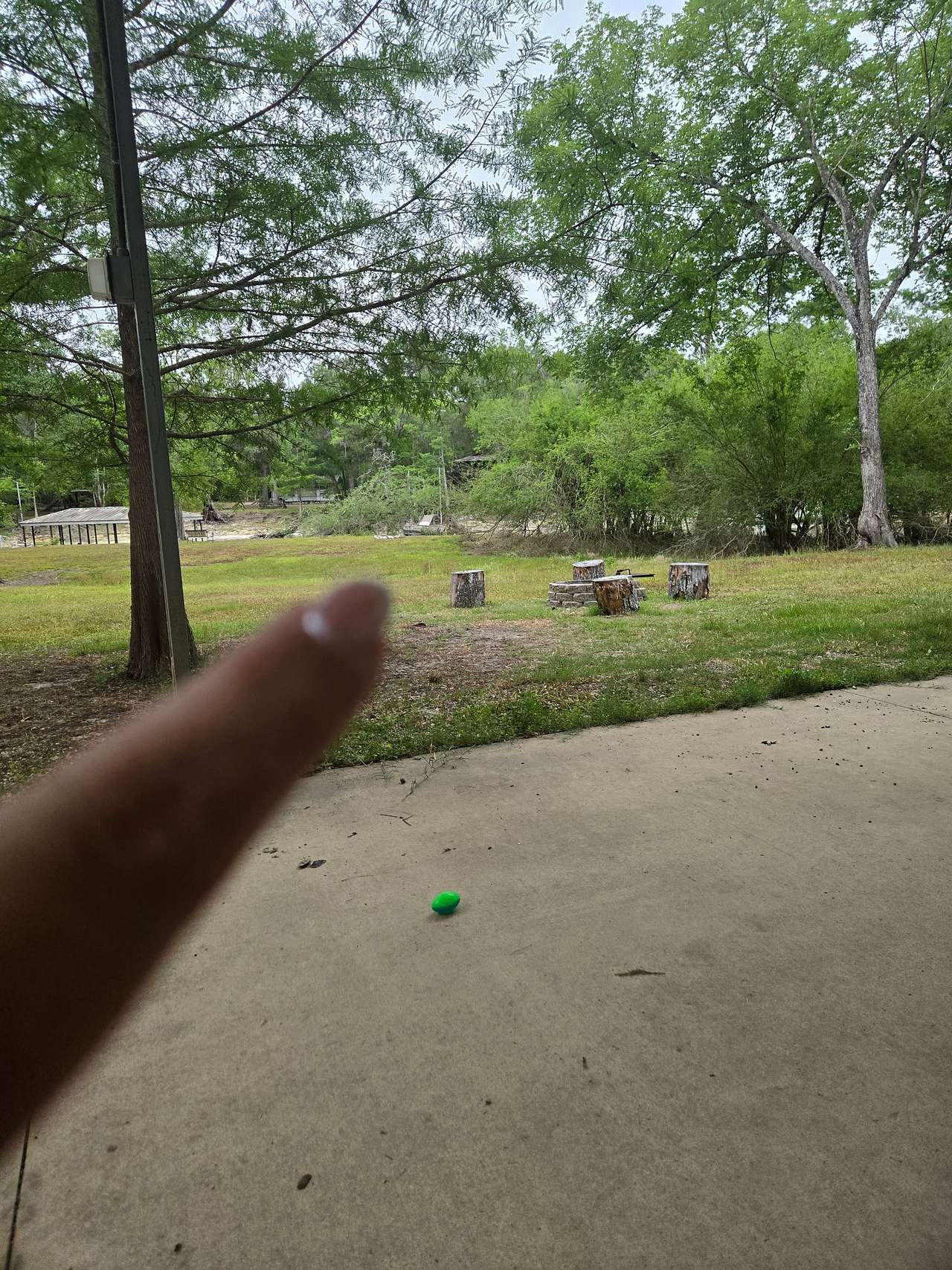 Santa Fe Riverfront / Ichetucknee
