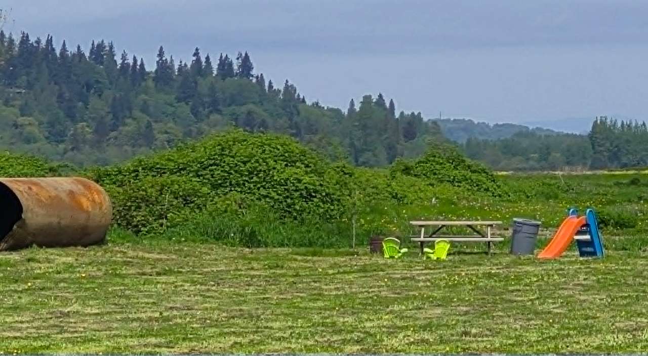 Roney River Ranch (R3)