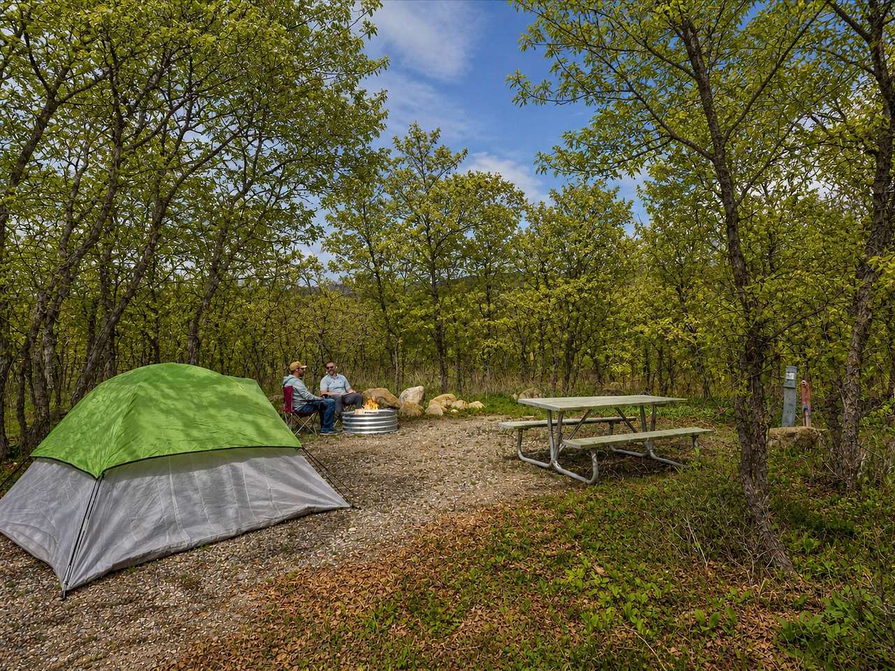 Picture of the site
