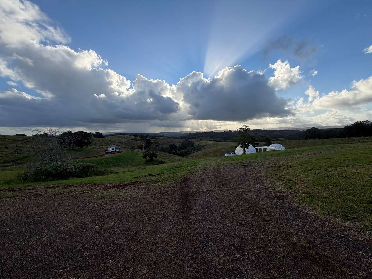 The Meadow -Byron Hinterlands Domes