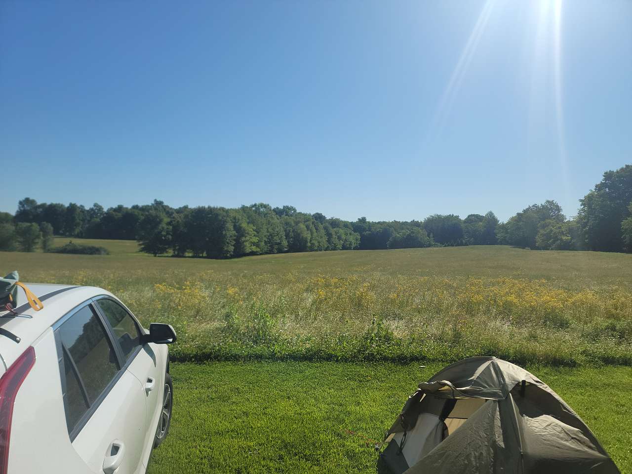 My view