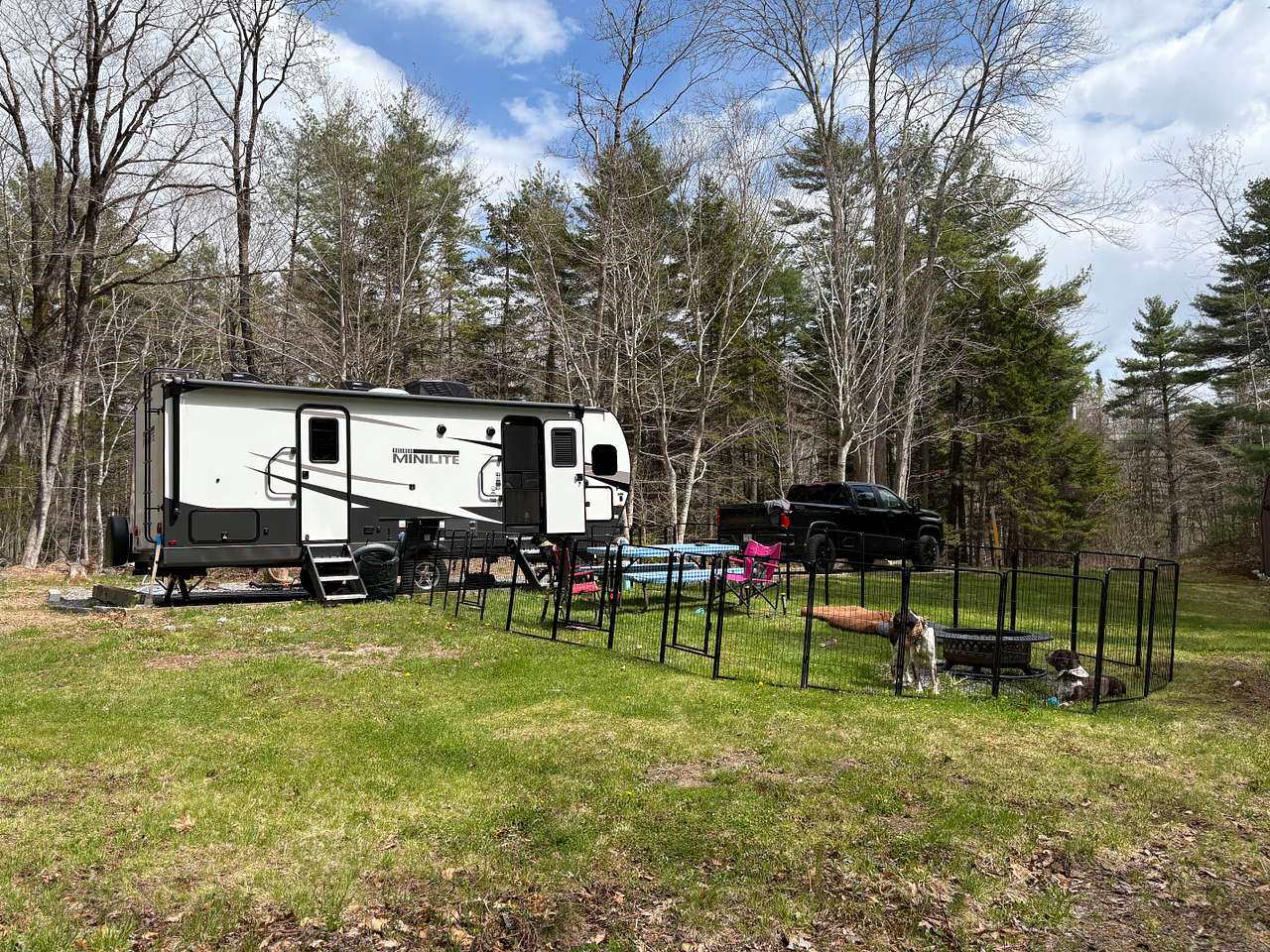 Picture of the site