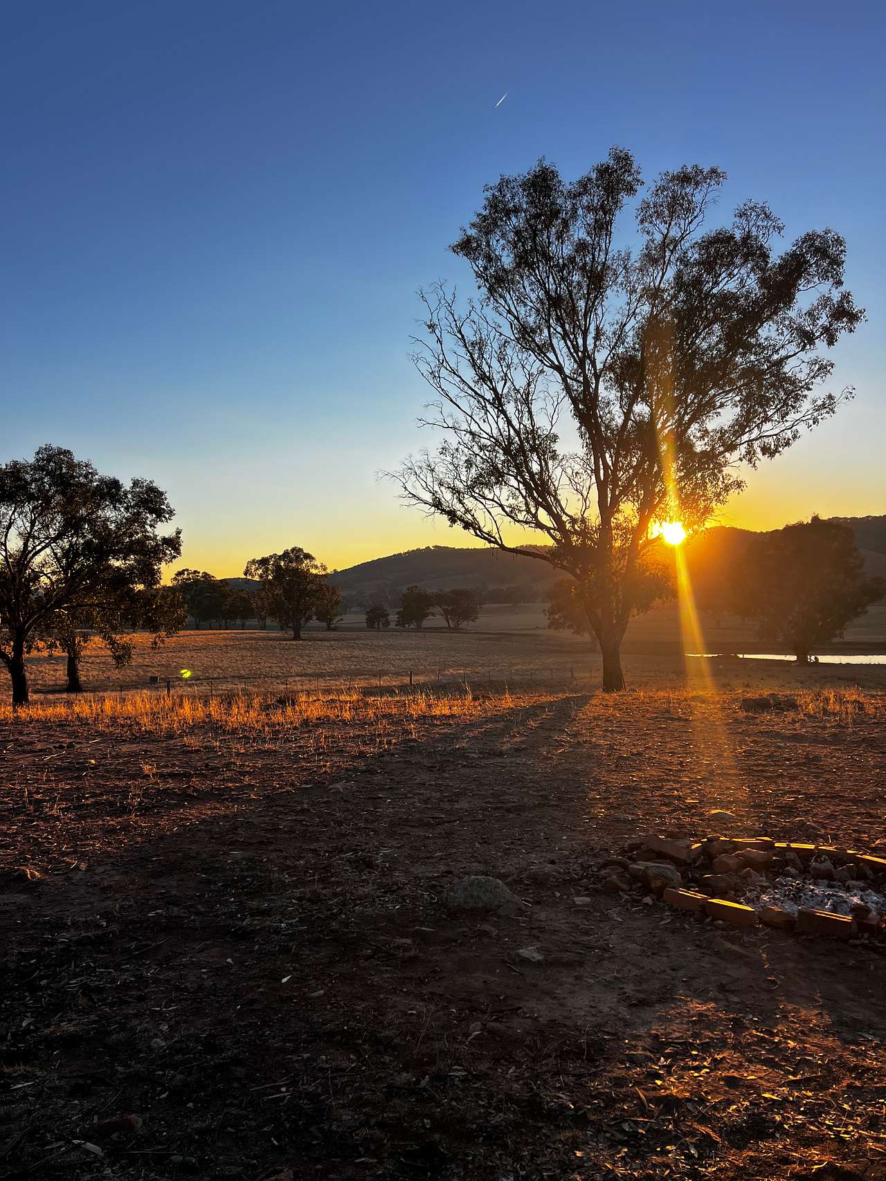 Sunrise 