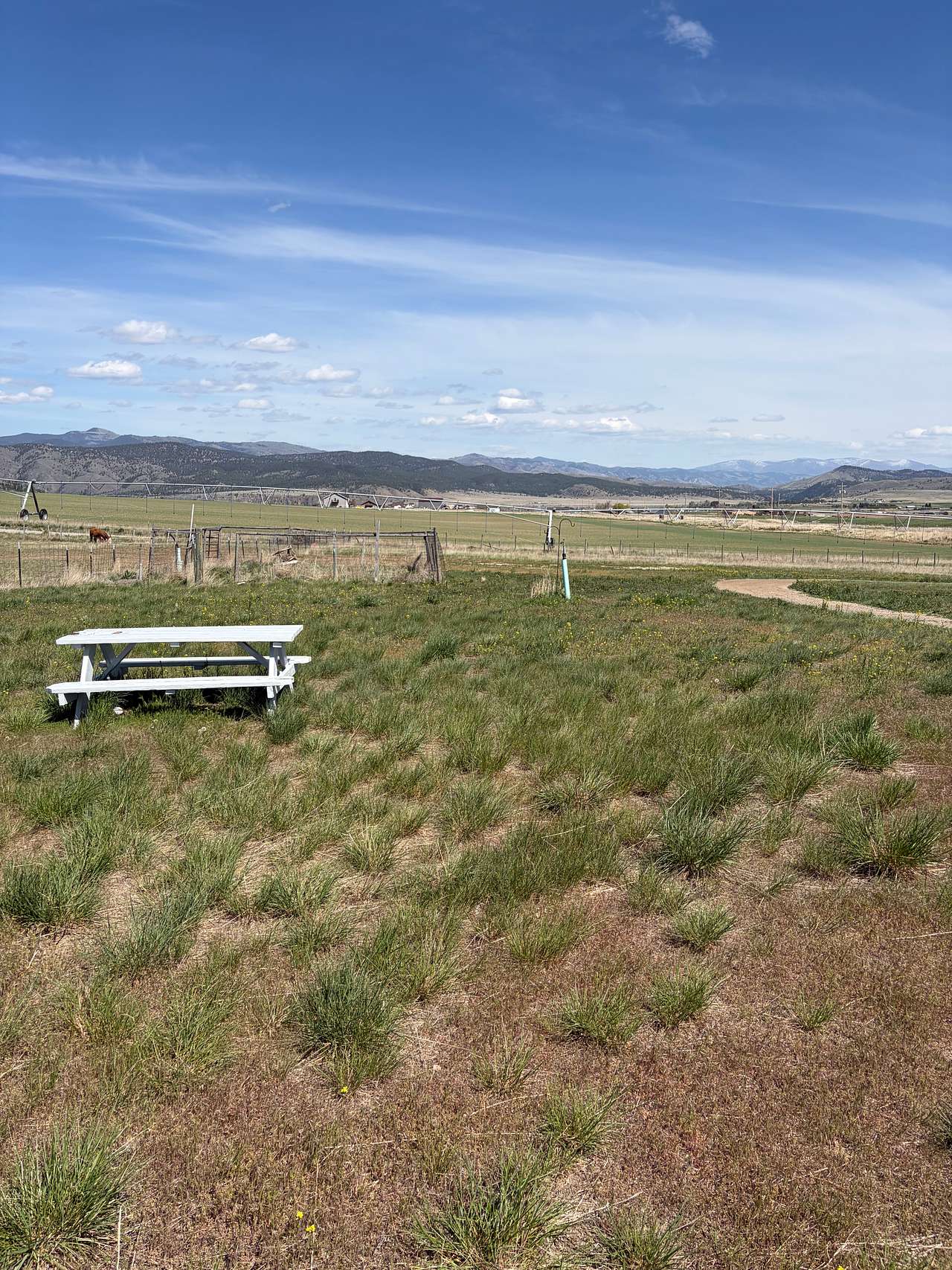 Hilltop Camp near Hauser Lake