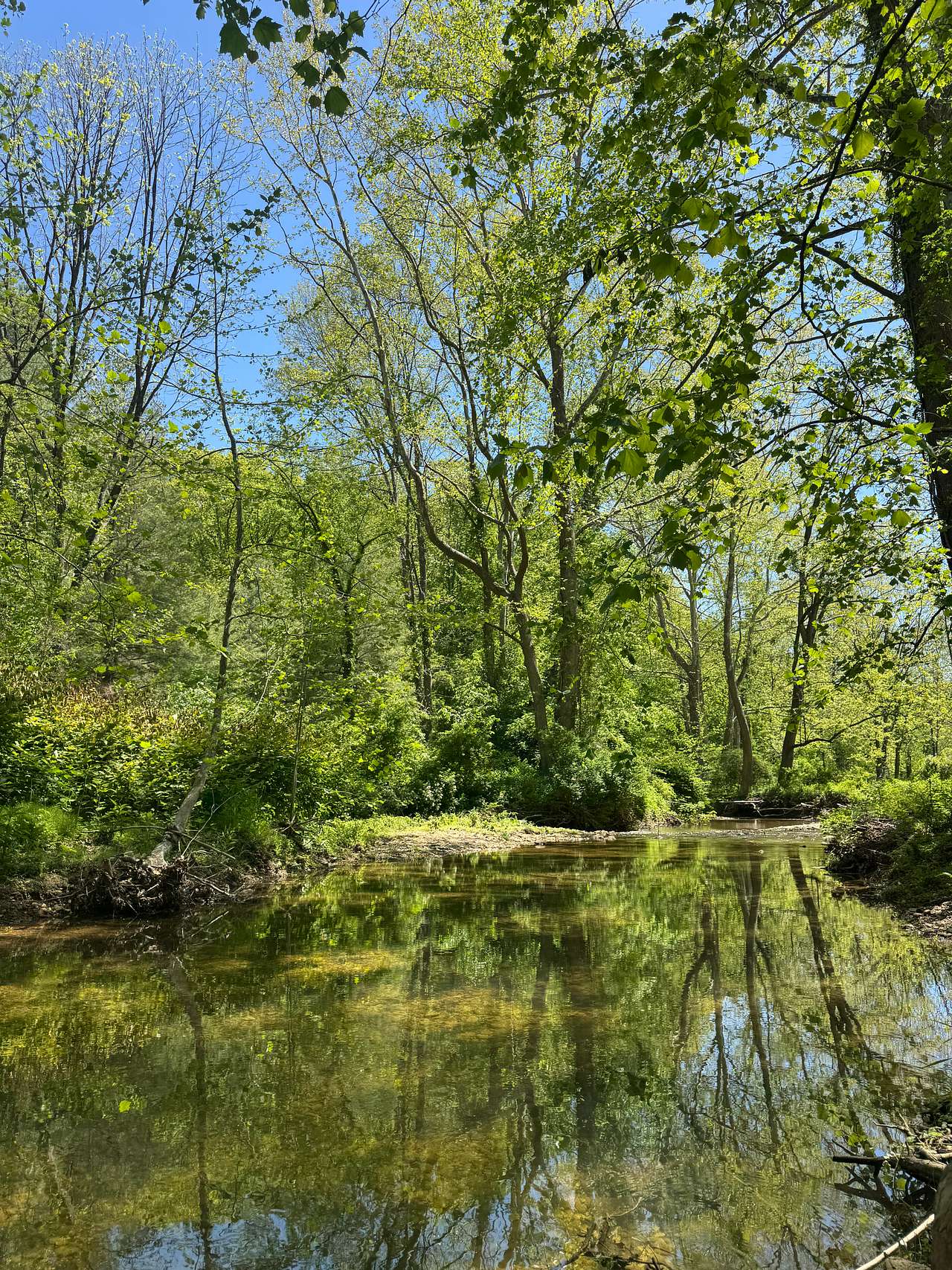 Creek View 3