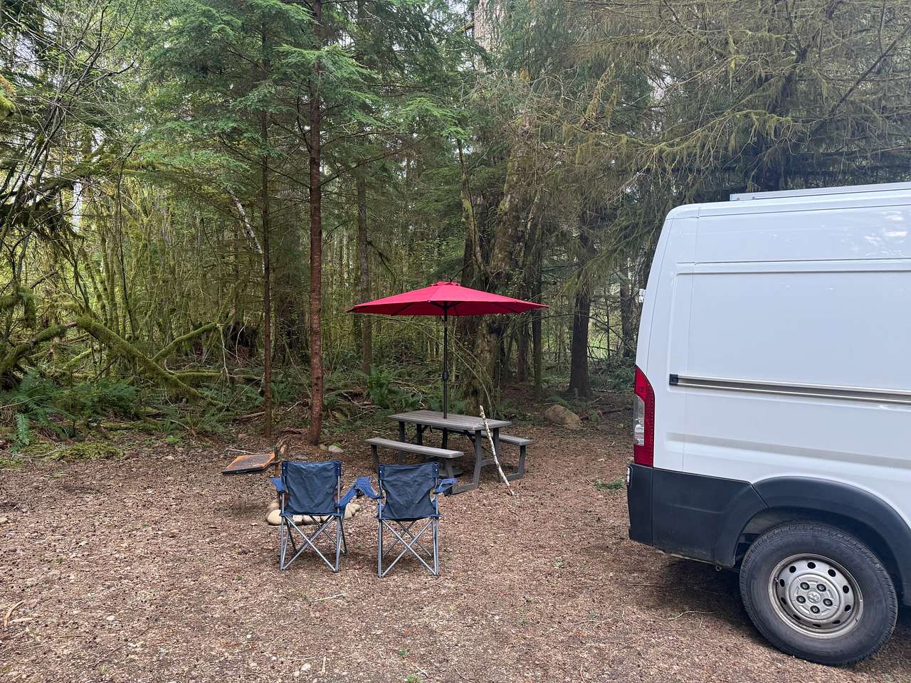 Picture of the site