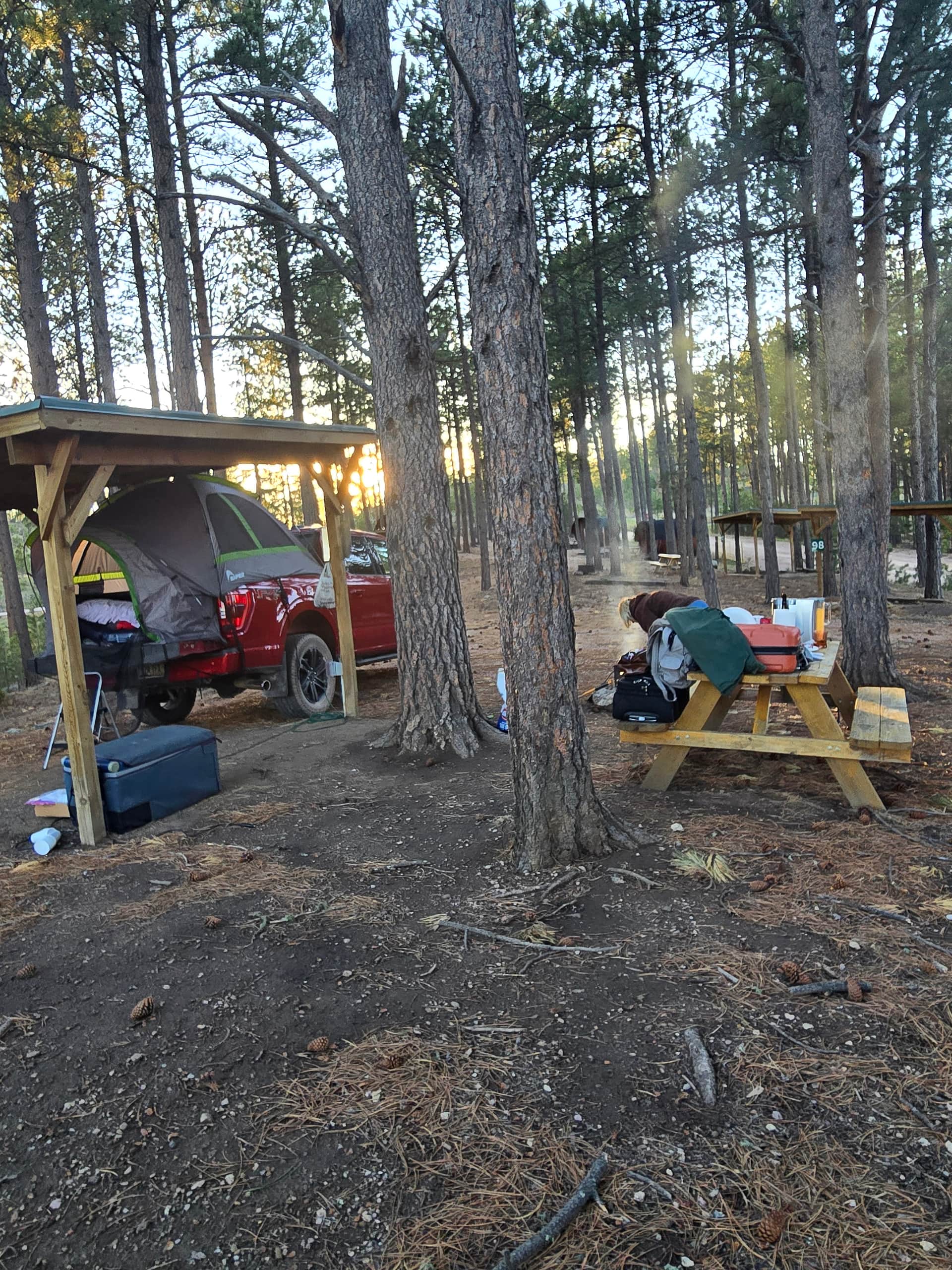 Picture of the site