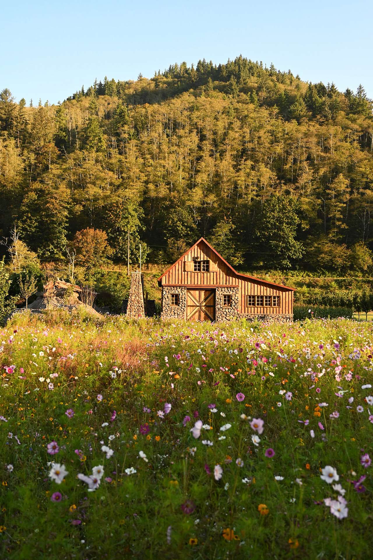 The Hydrangea Ranch
