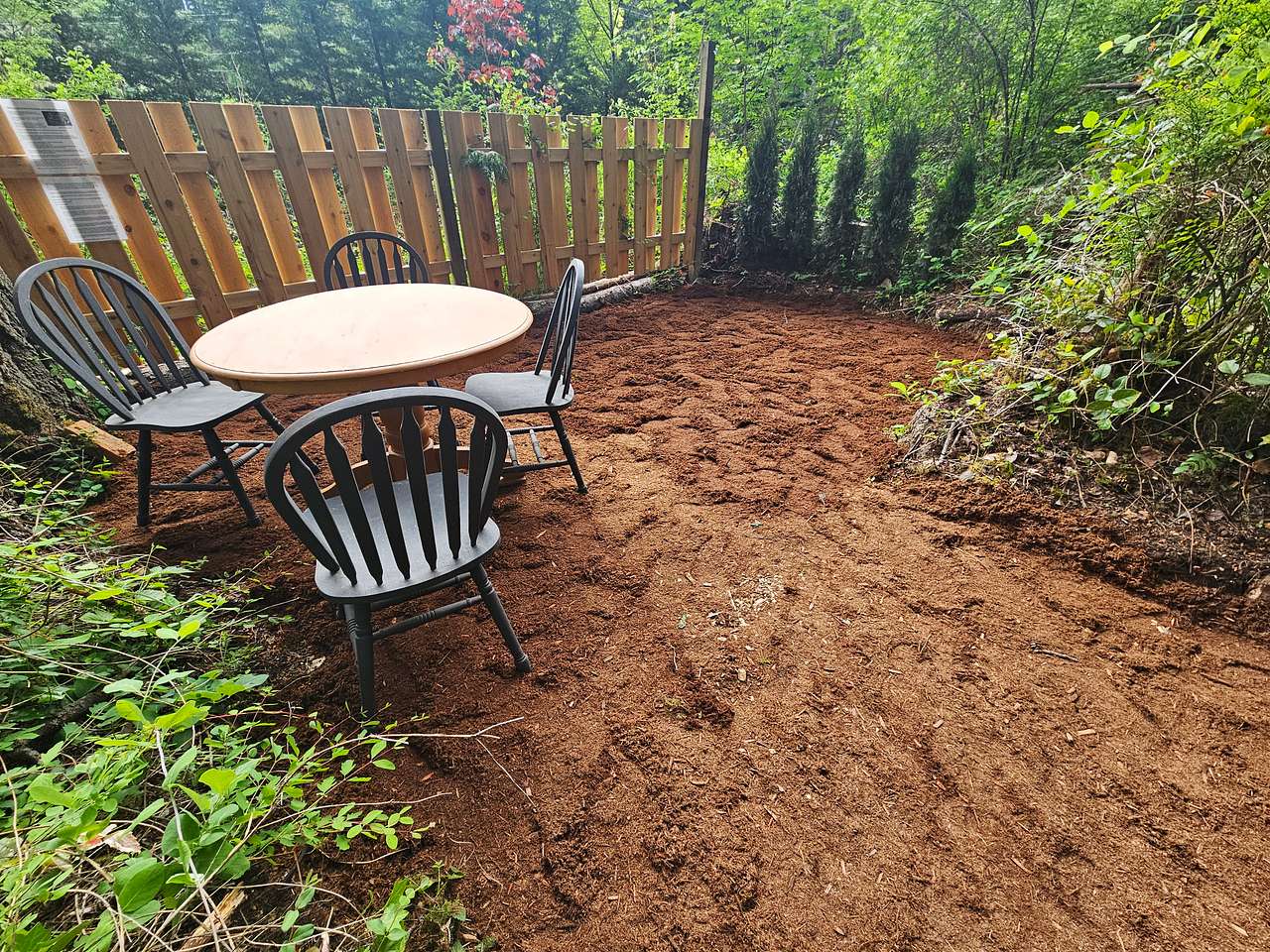 Picture of the site