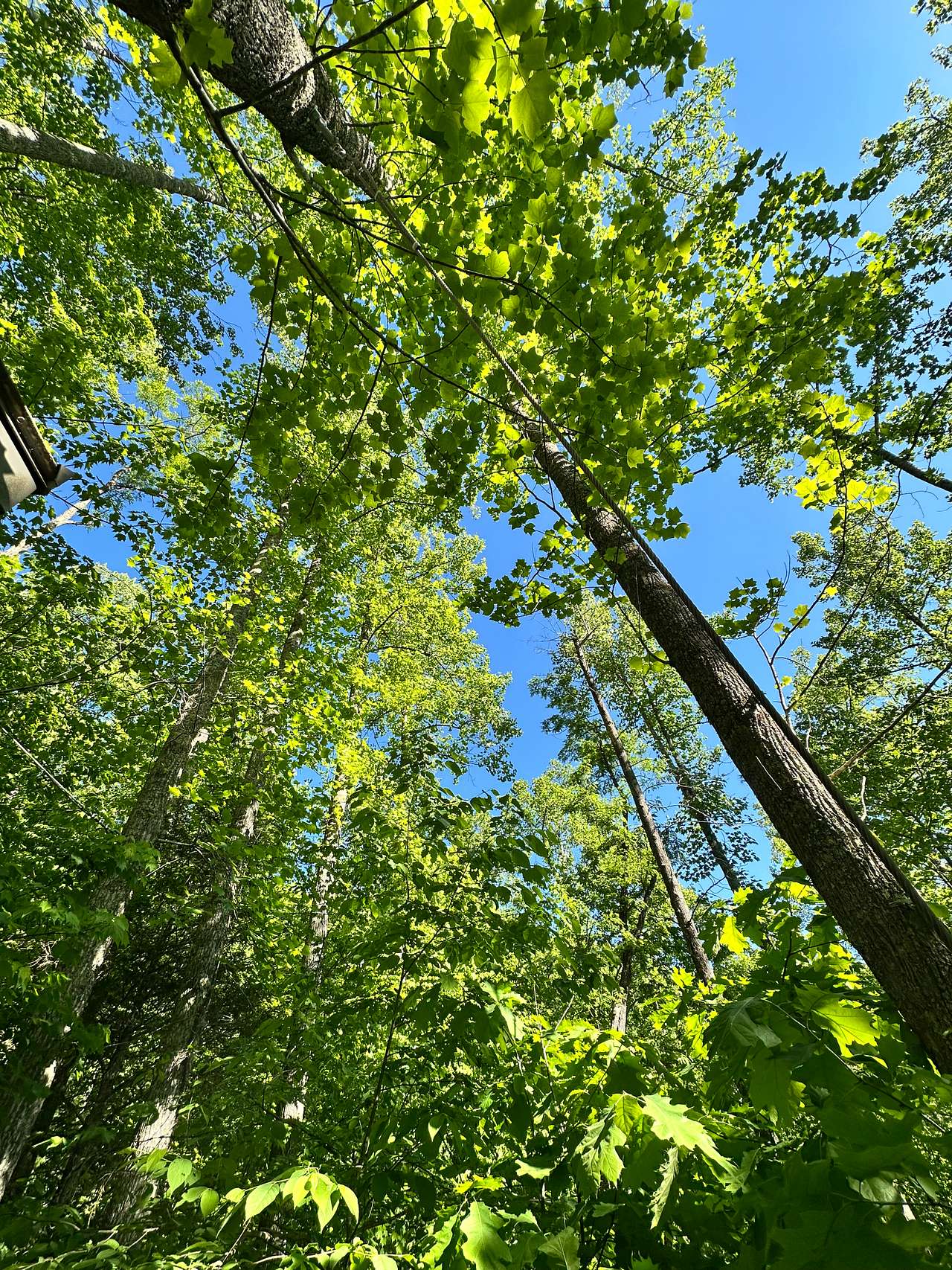 Cold Spring Basecamp