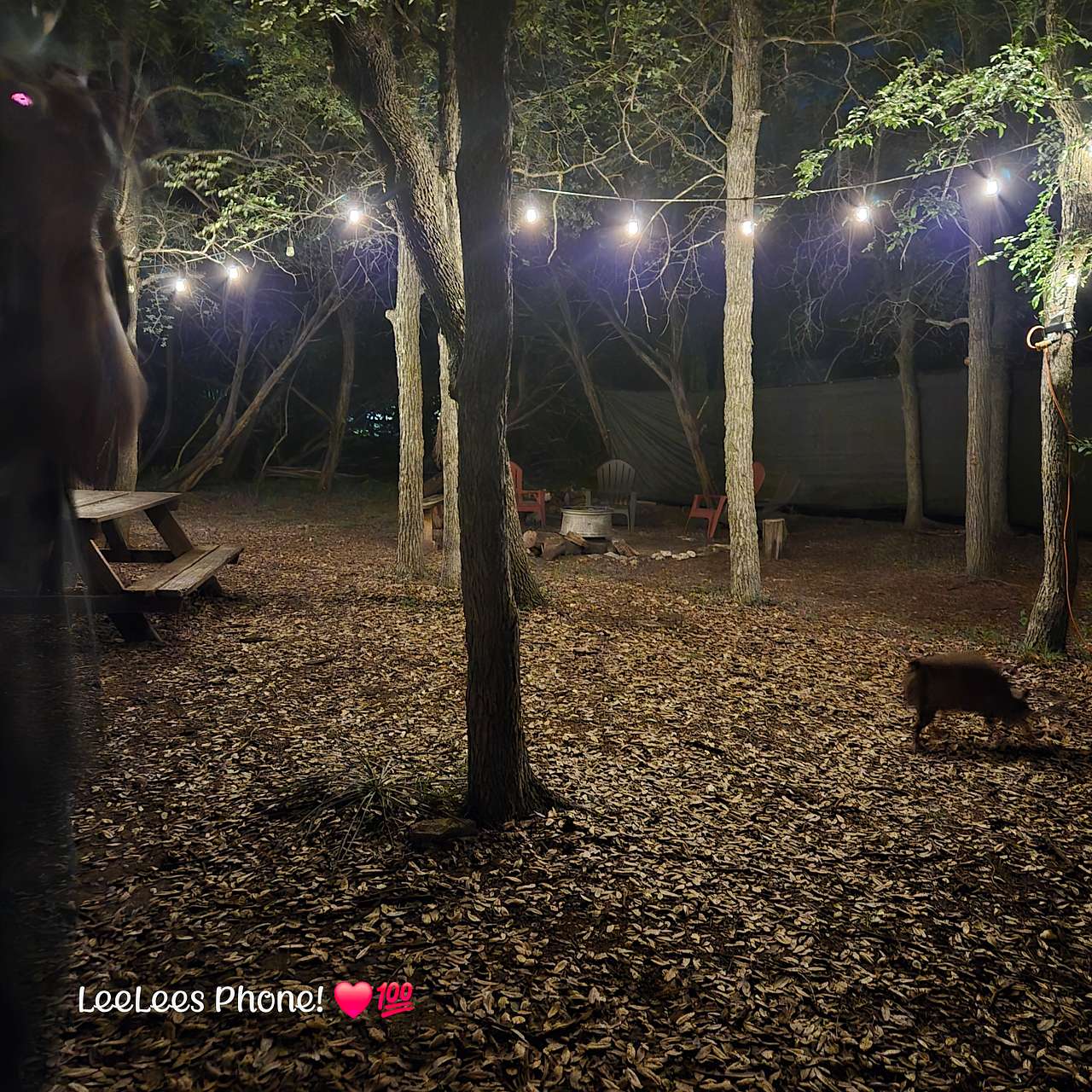 Campsite at night
