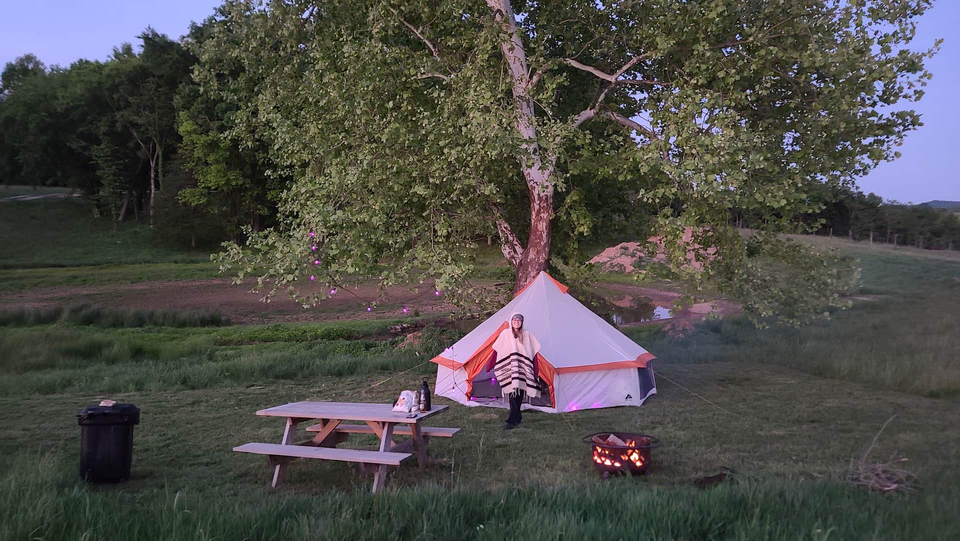 Picture of the site