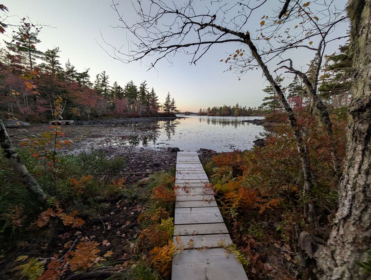 The Cove at Hirtle Lake