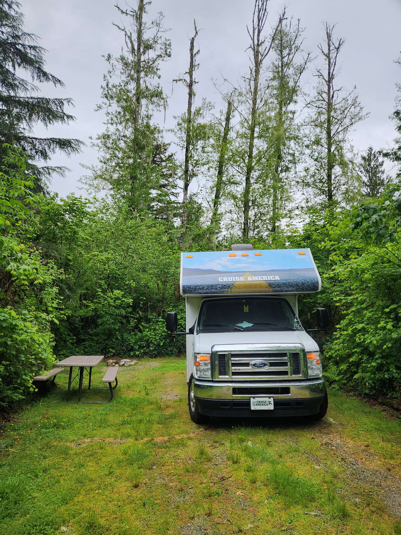 Picture of the site
