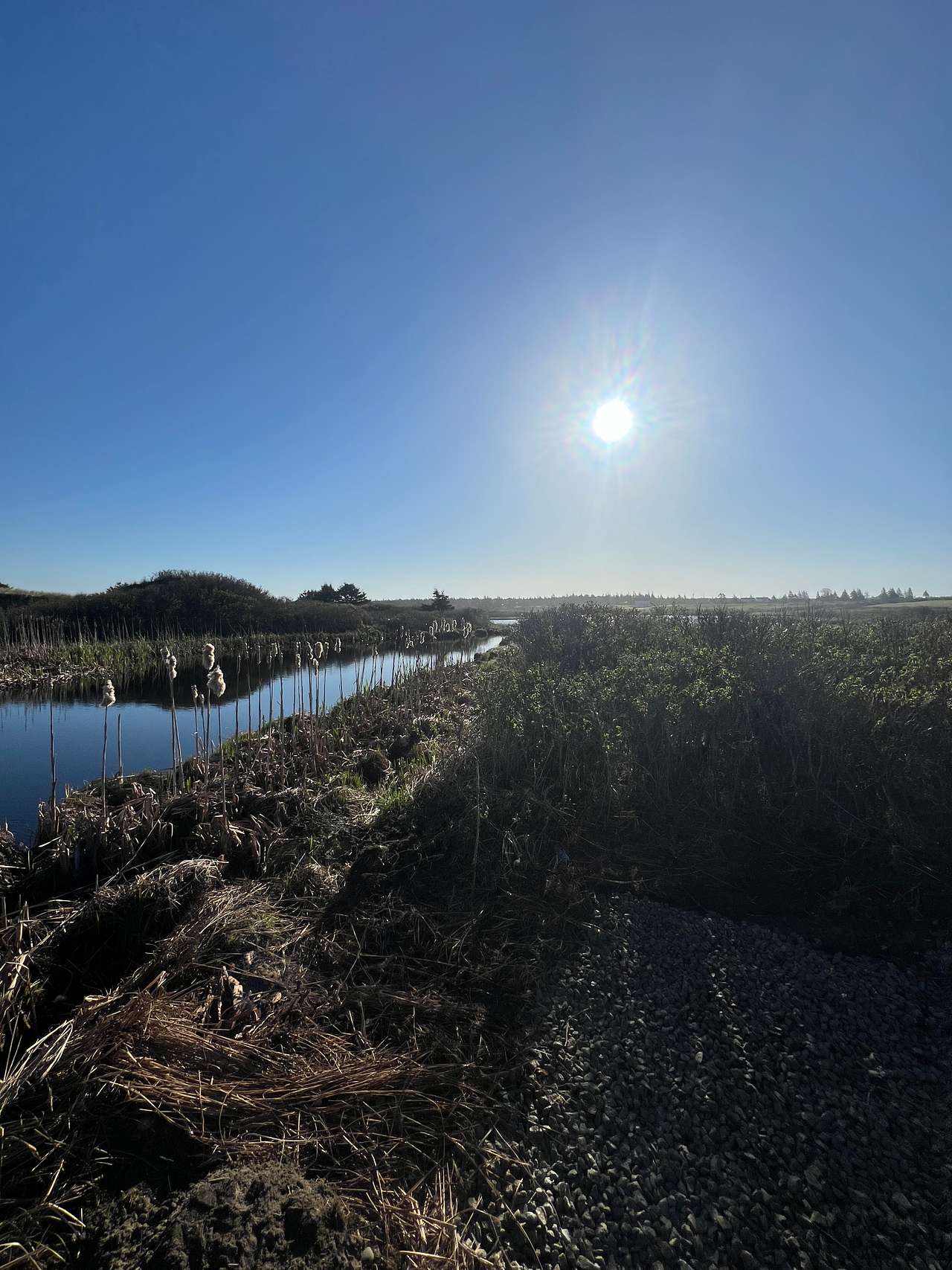 BeaverRiverBeach - Coastal Camping