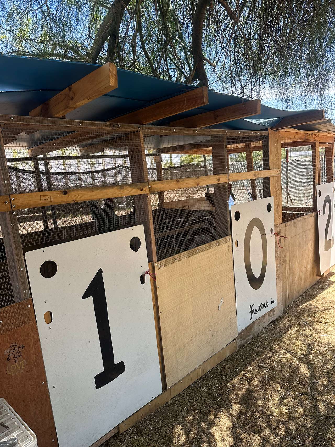 The poultry farms coop of rescued chickens.