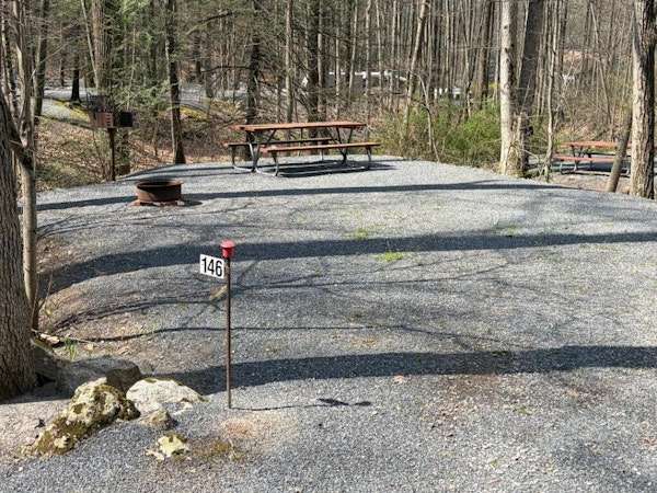 Picture of the site