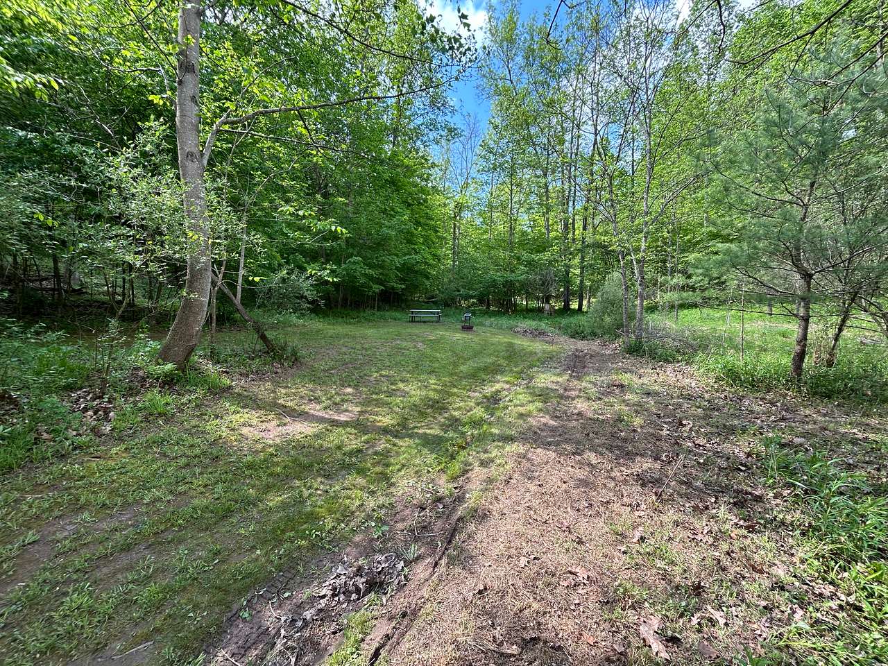 Wilson’s Boondock Hollow