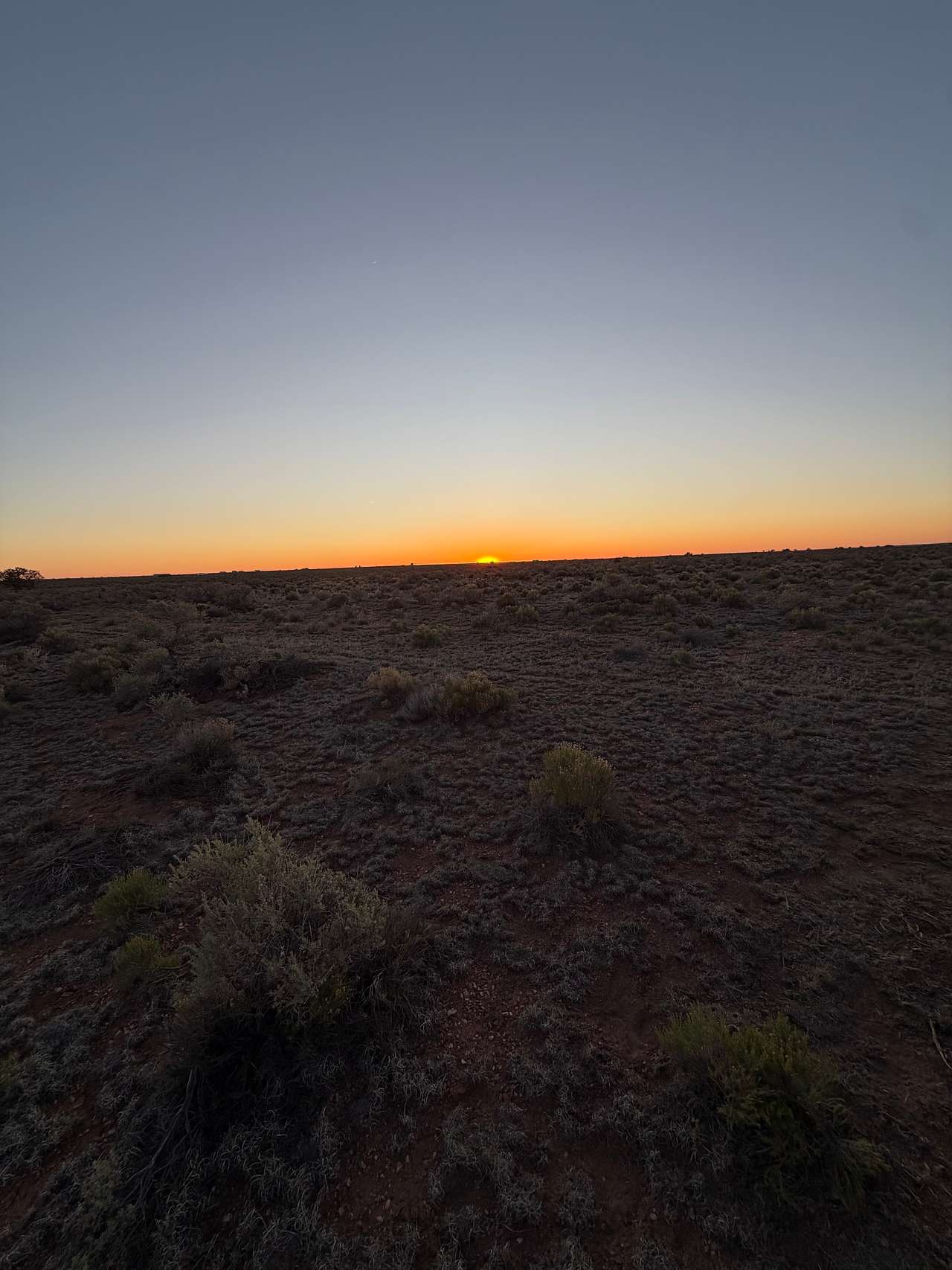 Farrington Ranch