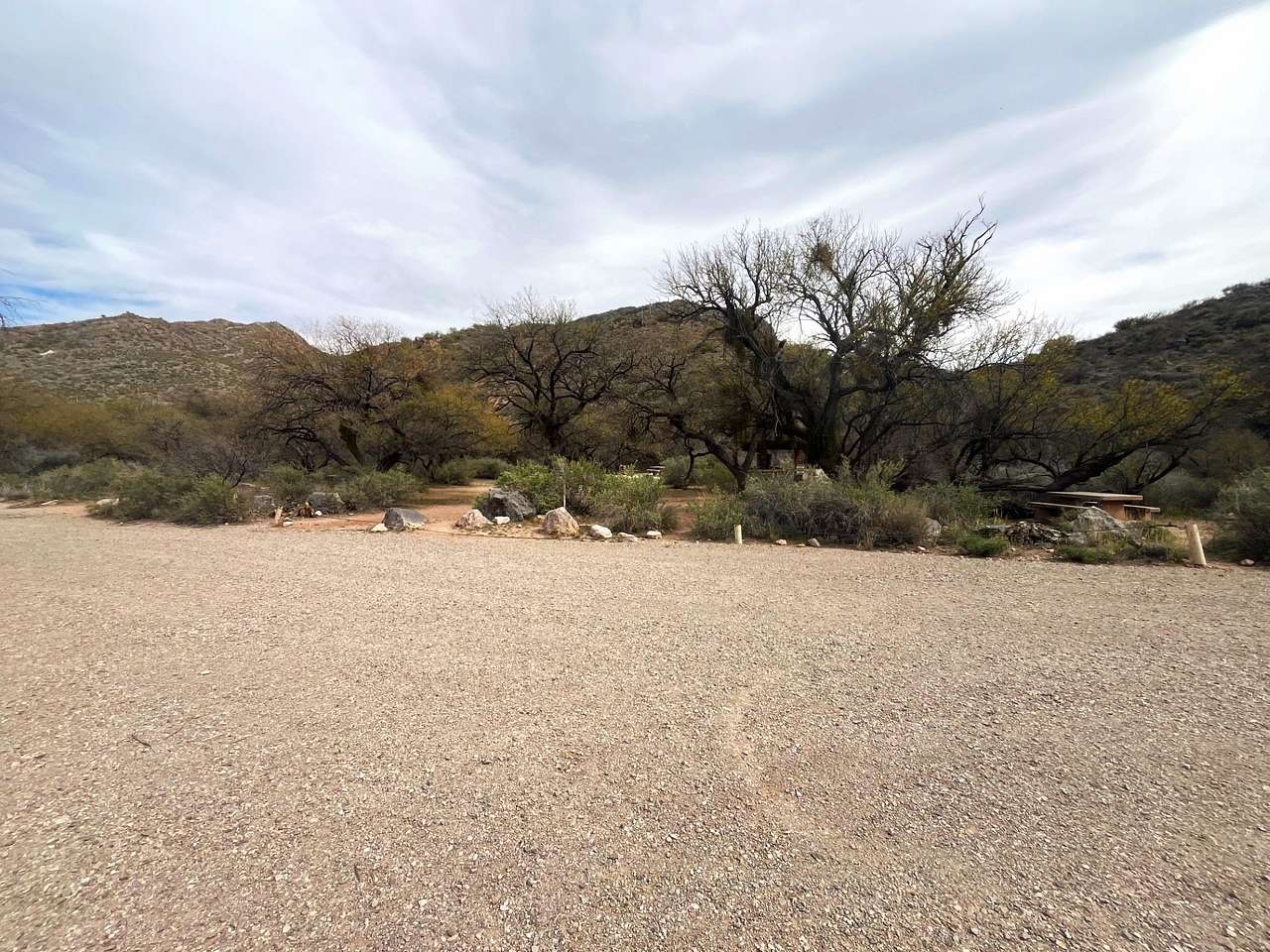 Picture of the site