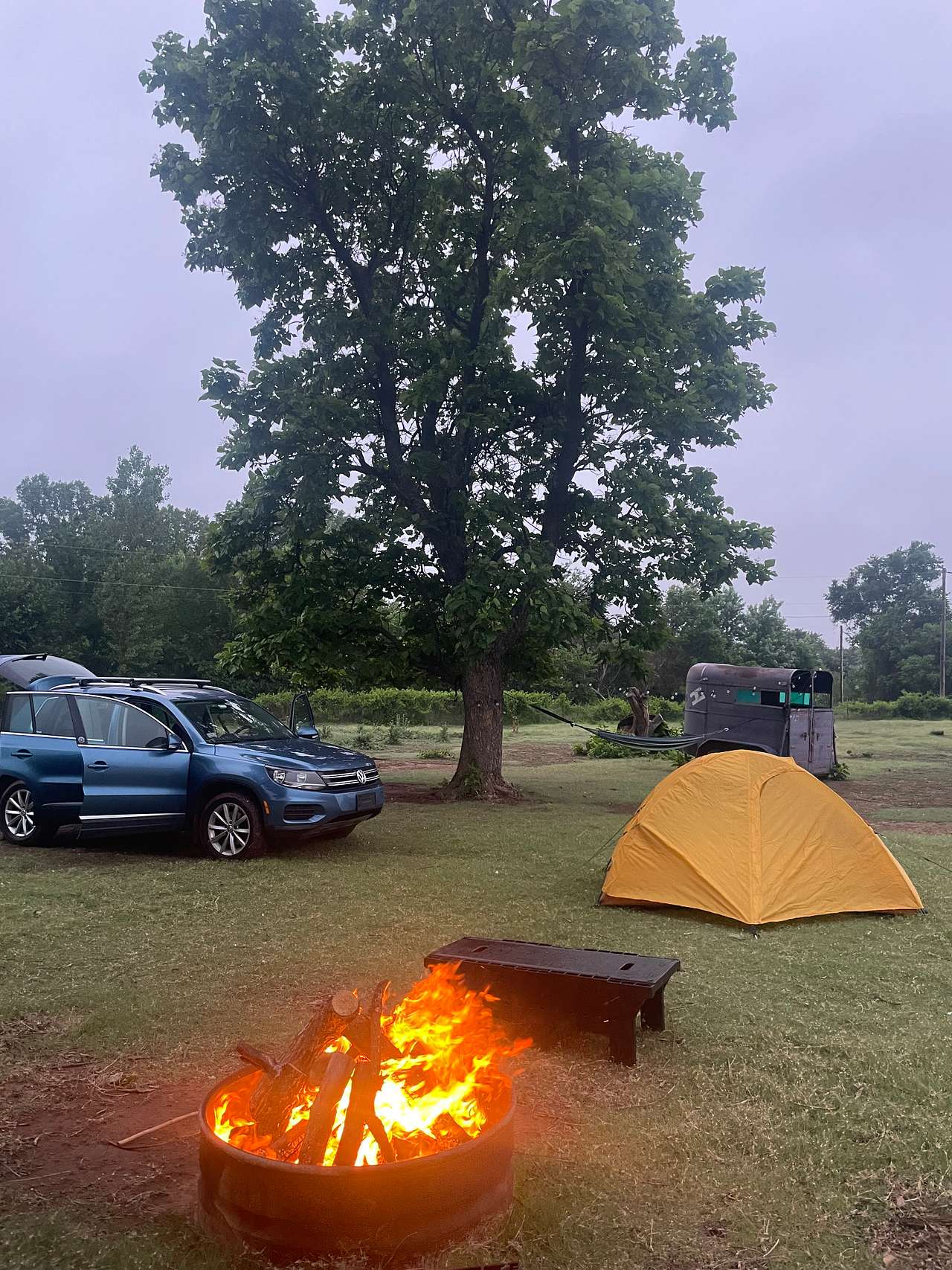 alpaca camping