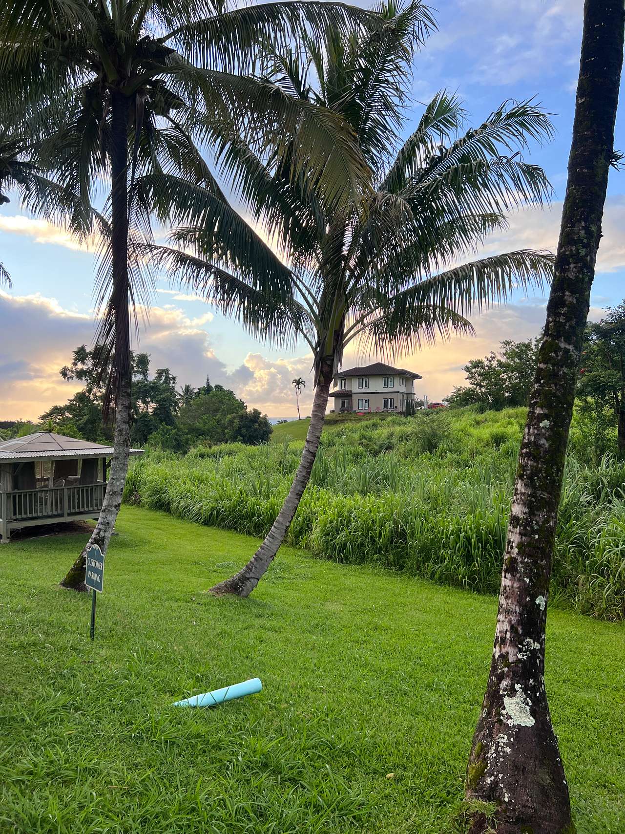 Hamakua Guesthouse