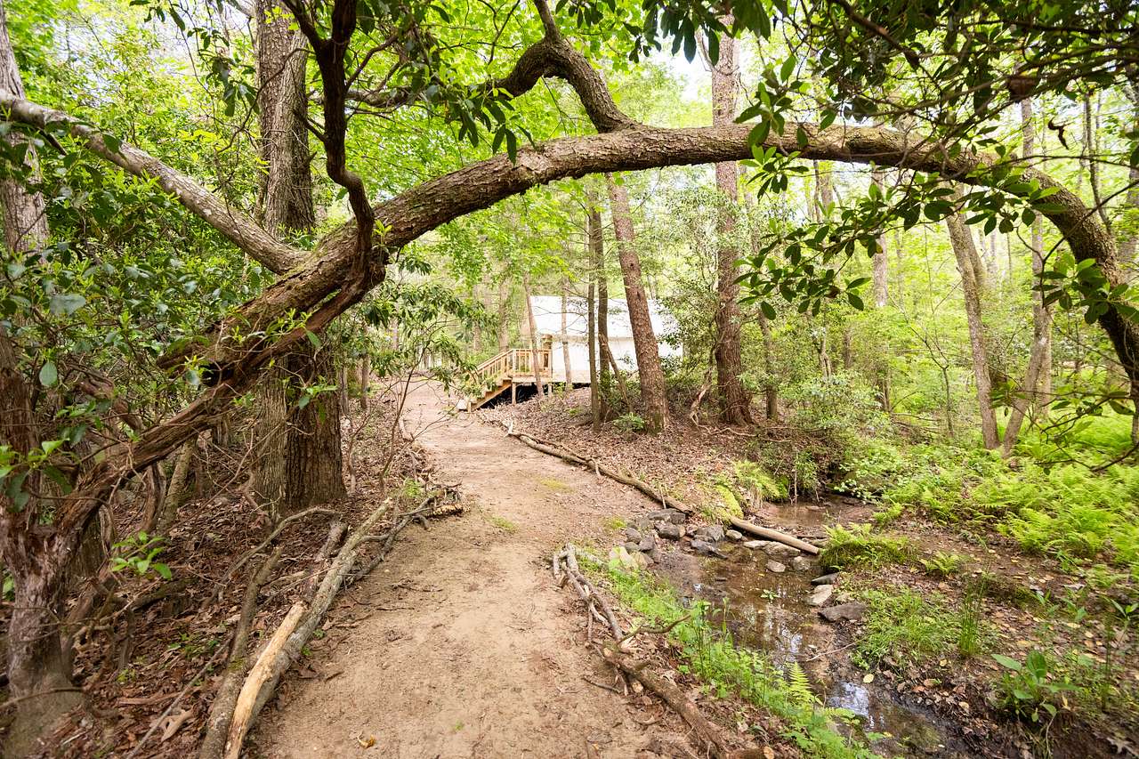 Campsite 3: down a windy private path with your own fire pit and picnic table
