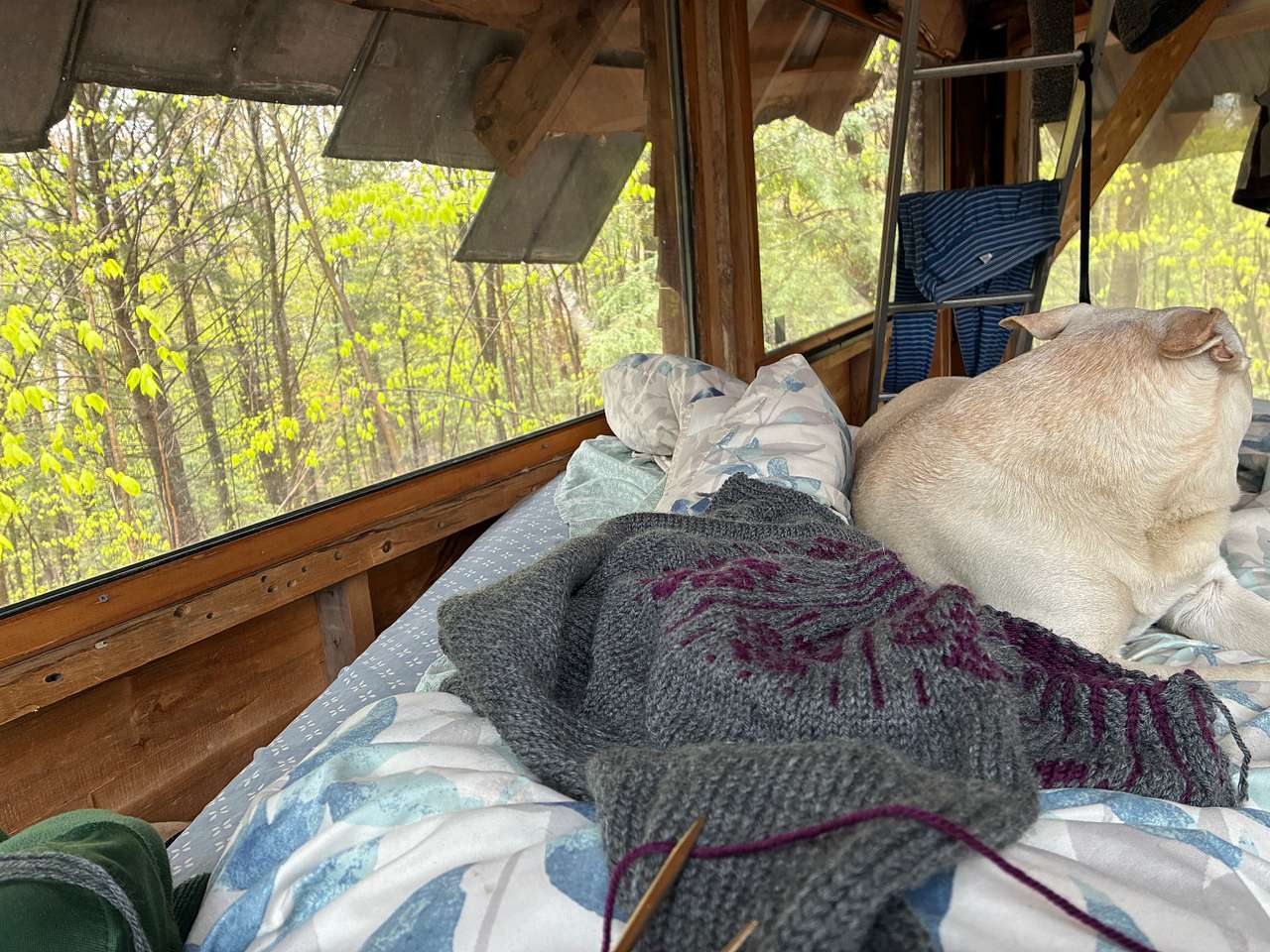 Streeter Mountain Farm