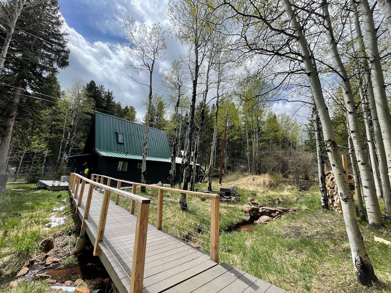 Aspen Forest in Evergreen Colorado