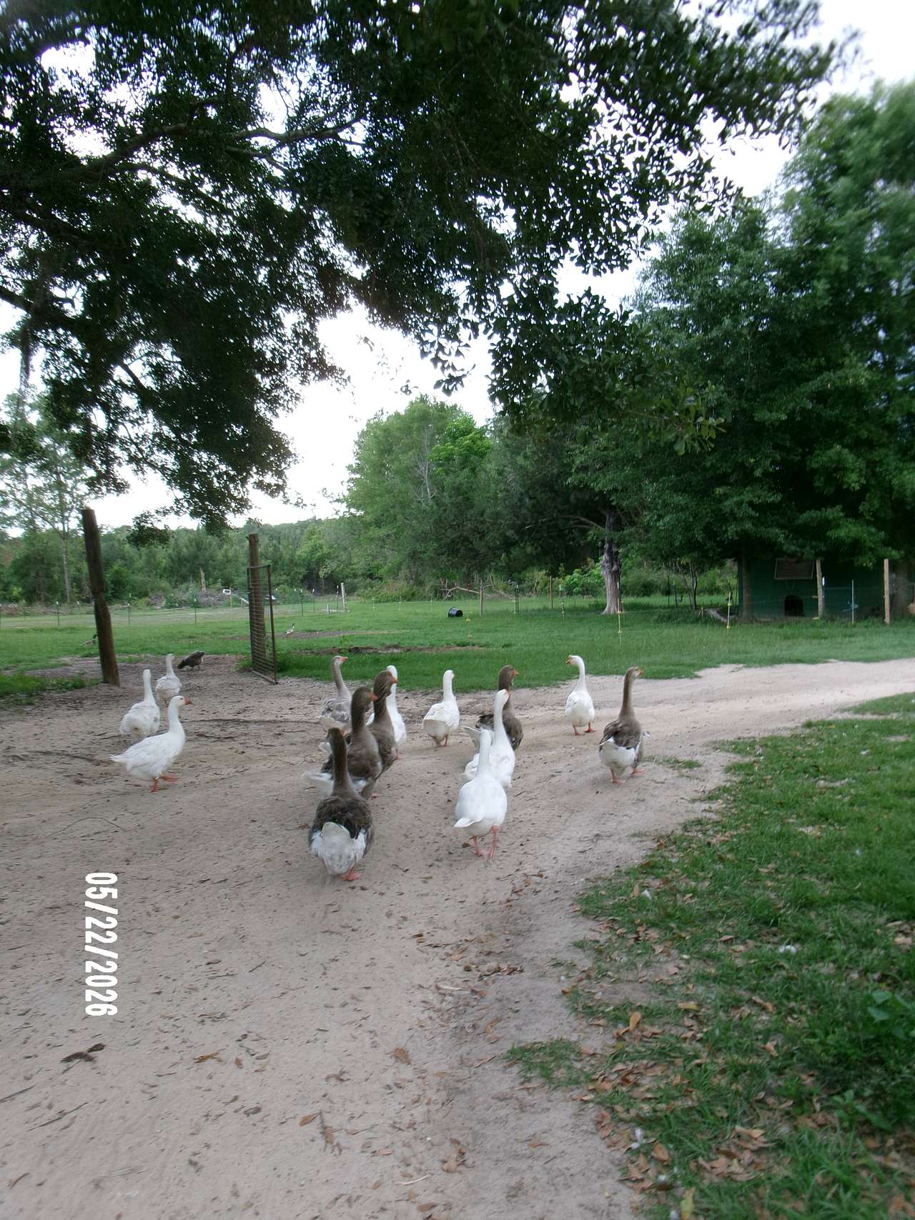 Moonpie Farm and Creamery