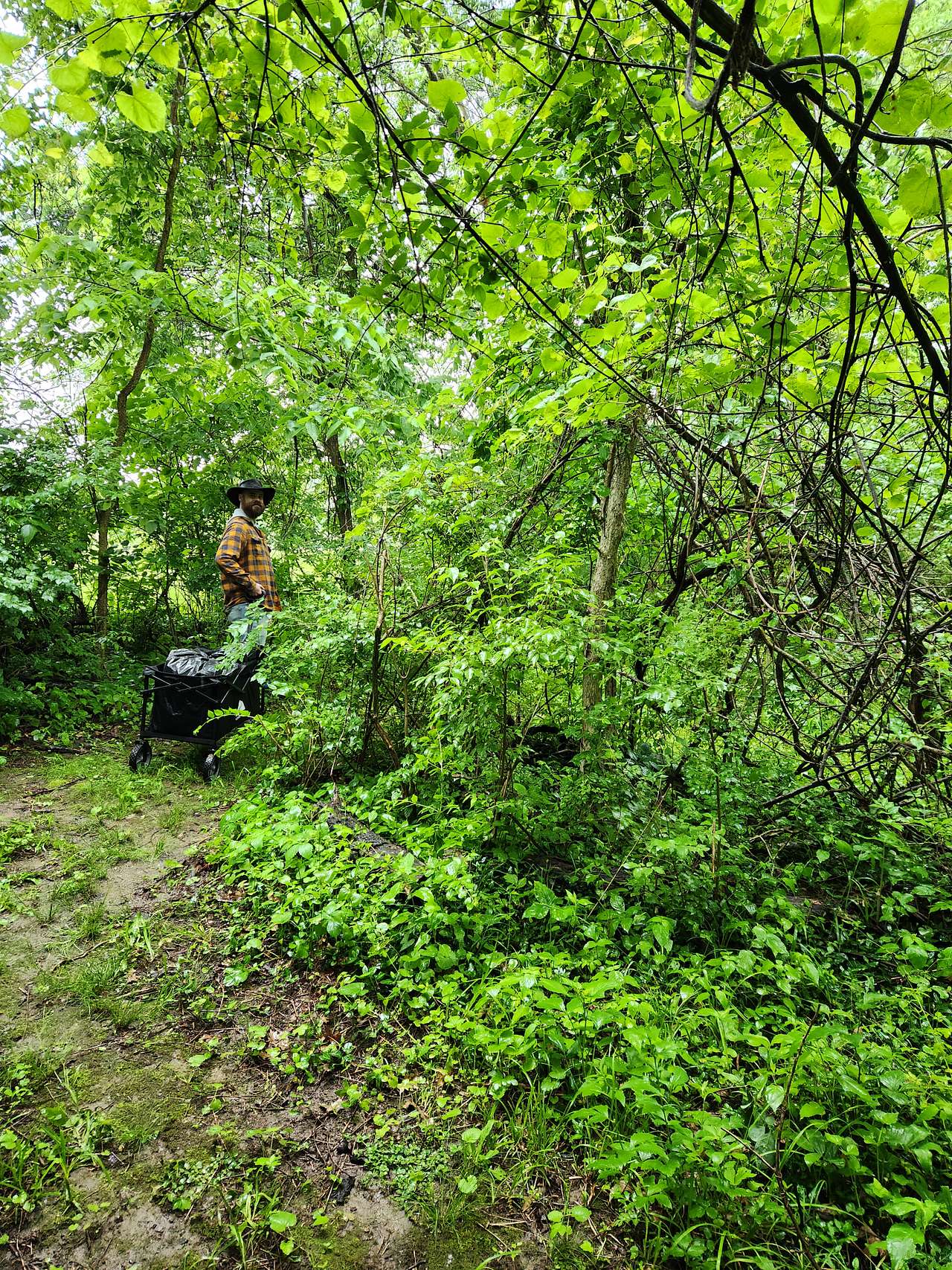The cart was perfect for the pleasant, winding trail