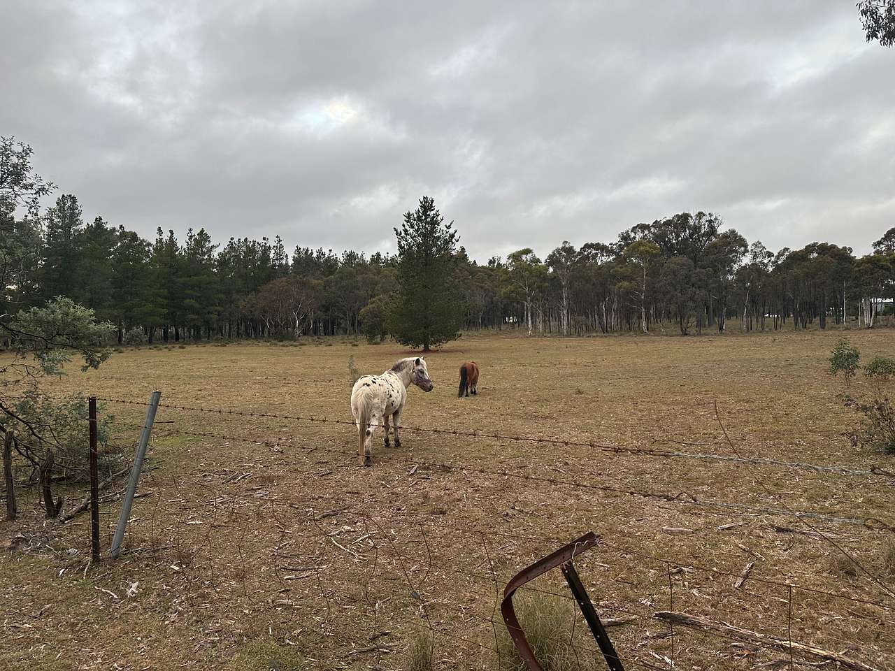 Miranda Springs Farm Stay