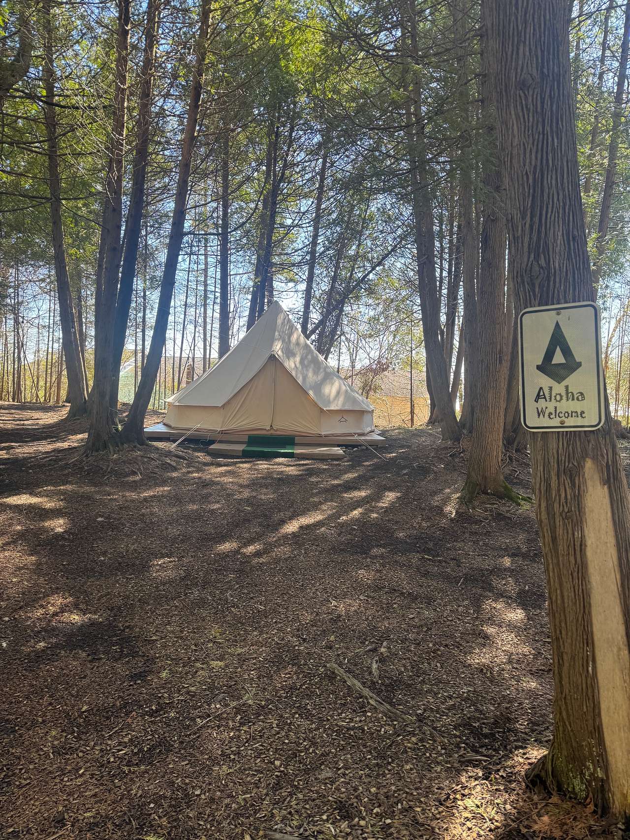 Tiki Hut Yurts