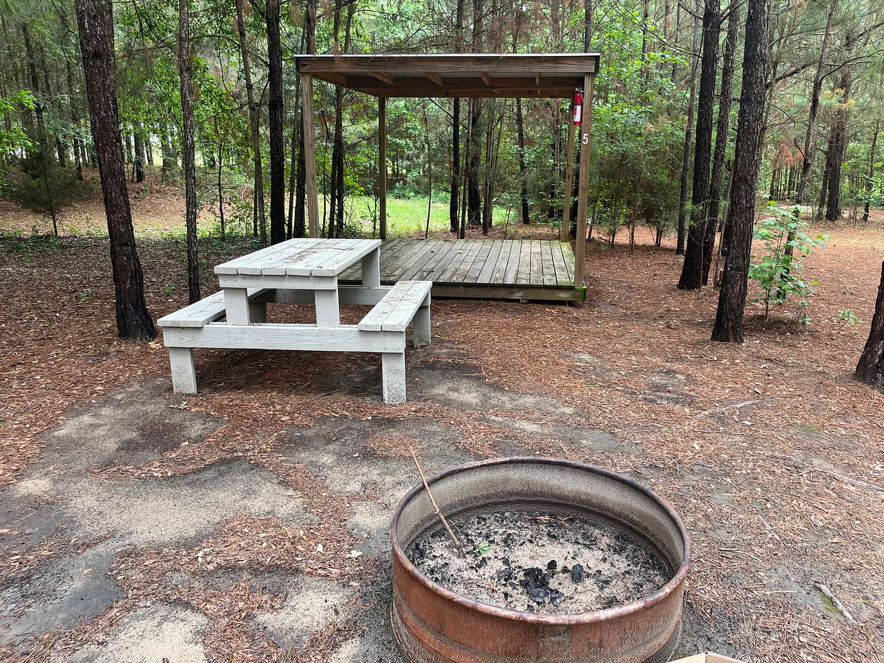 Site #5