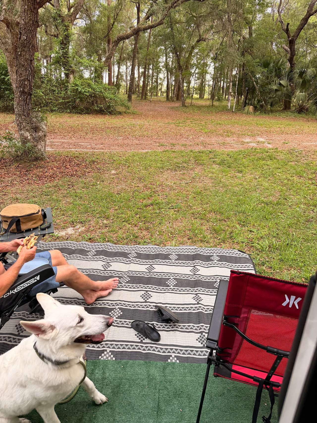 Site with hookups facing away from spring into tent camping areas