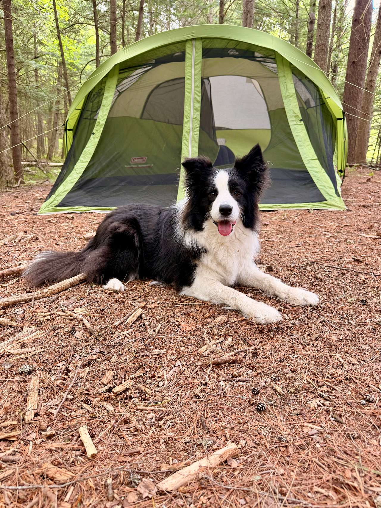 View tents photos of Mags Mountain