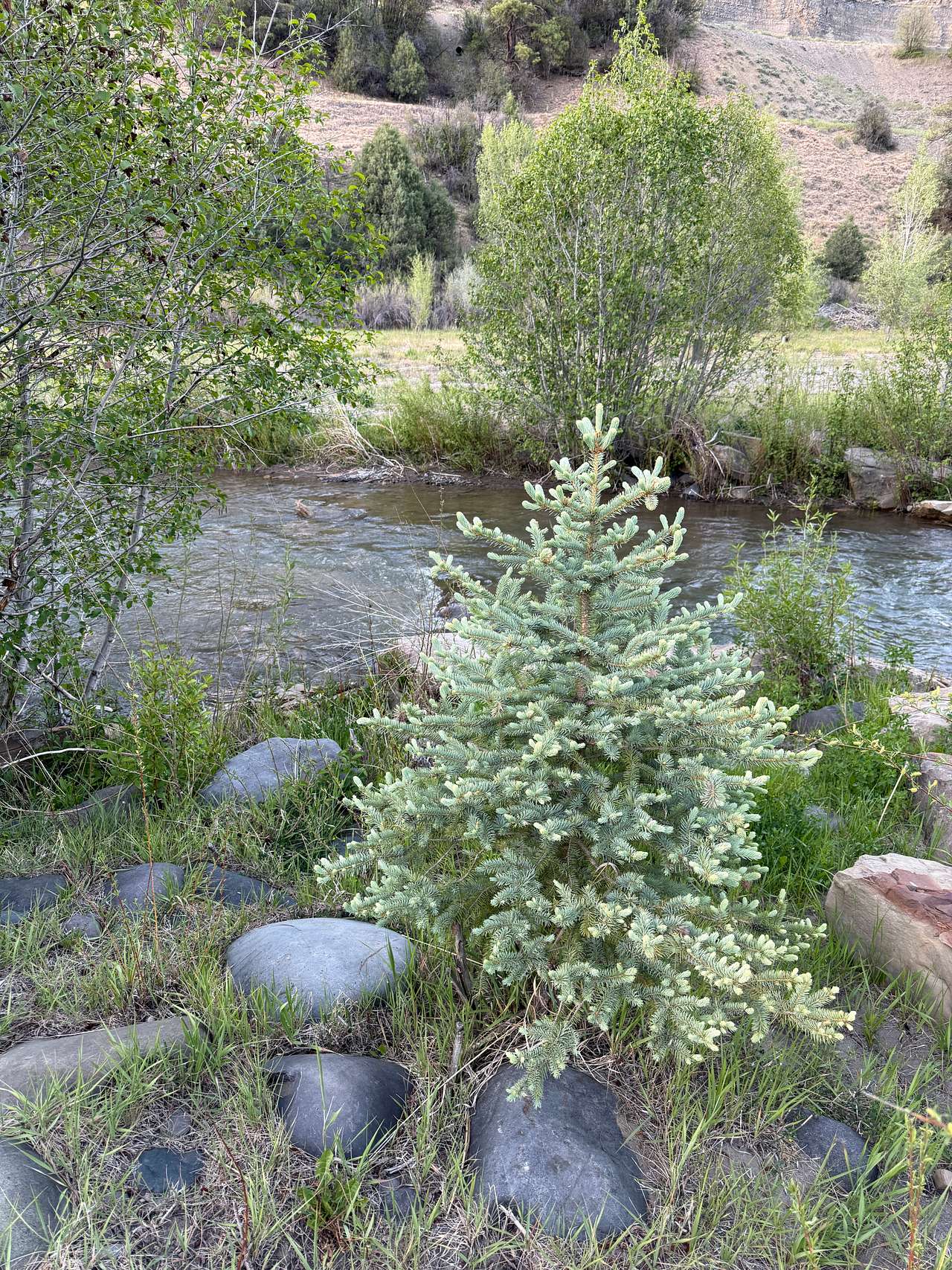 River outside the cabin 