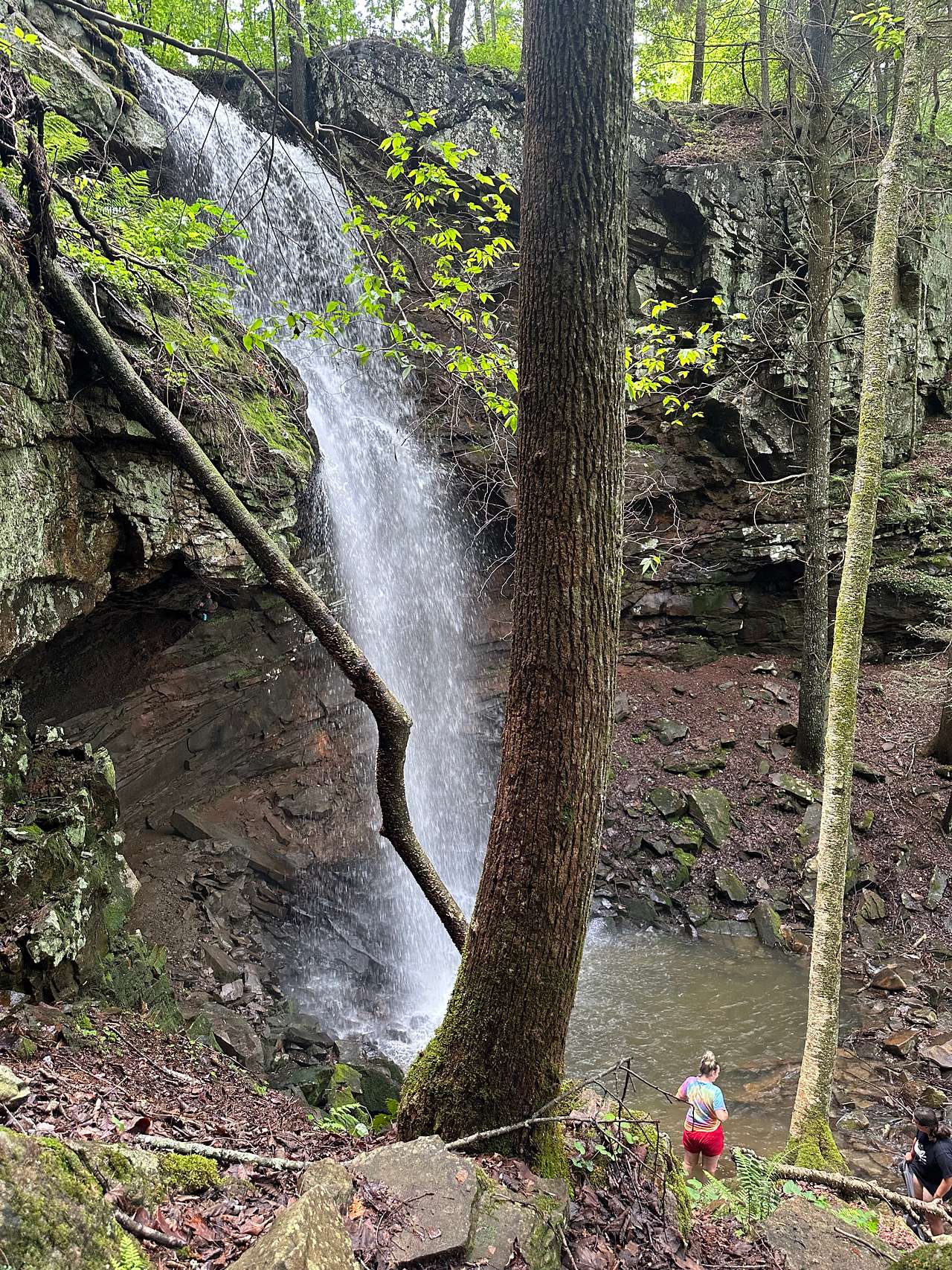 The Falls at Sewanee Creek