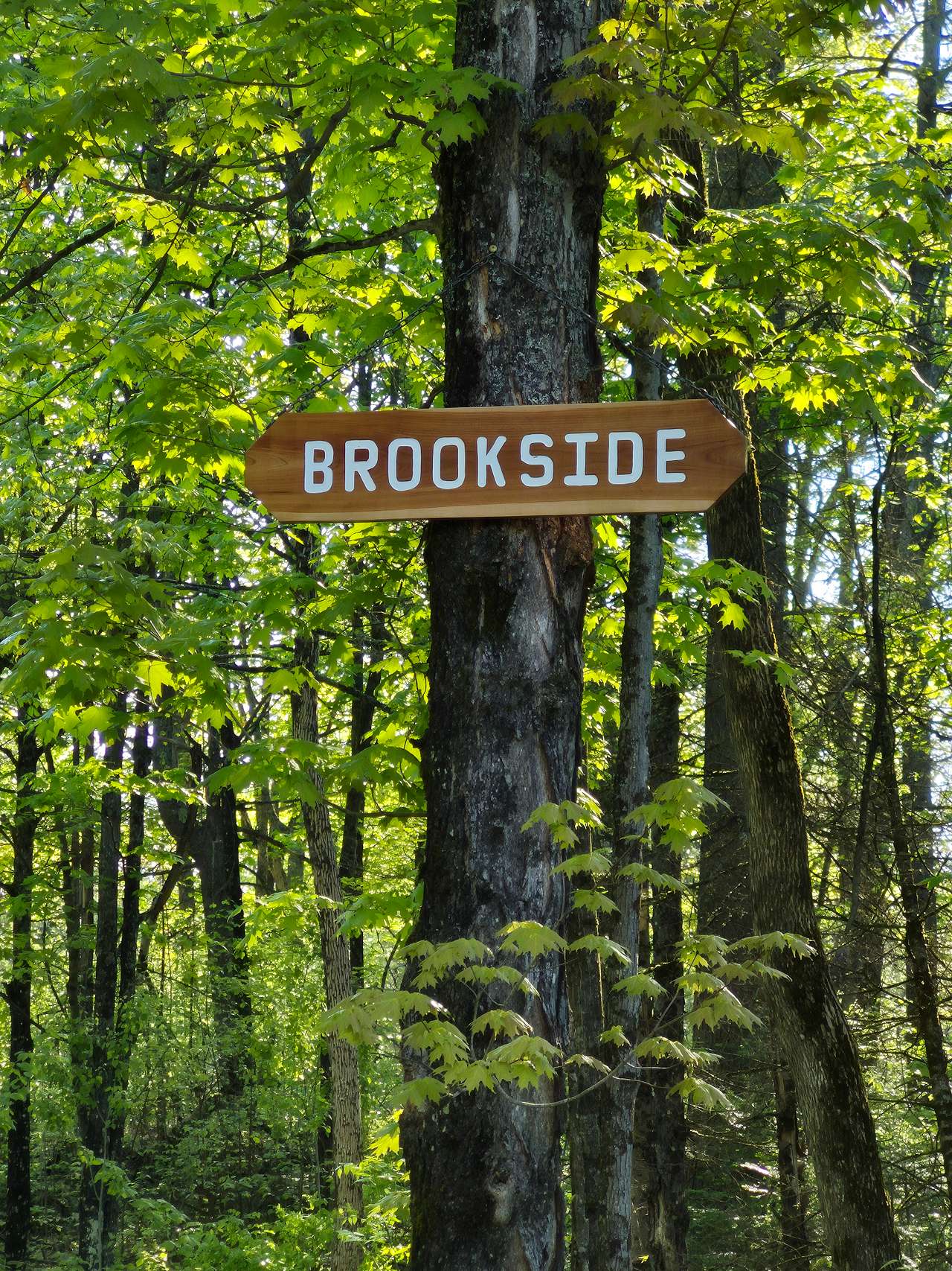 Hemlock Point Campground