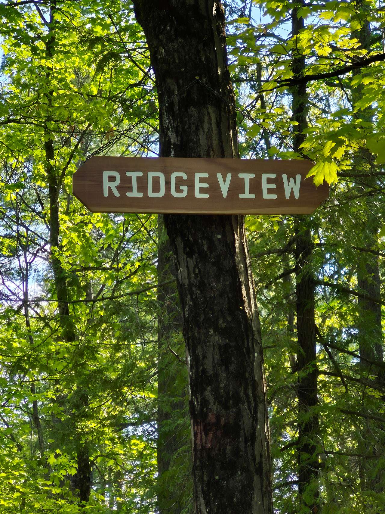 Hemlock Point Campground